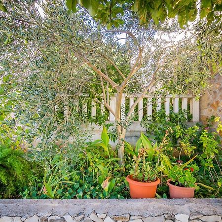 Cheap Apartment Tanja トロギール エクステリア 写真
